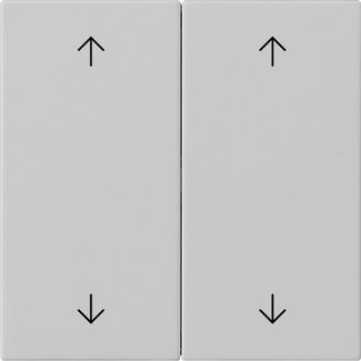Gira 5387015 Wippe 2-fach Pfeile, System 55, grau matt