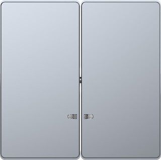 Merten MEG3420-6036 Doppelwippe mit Kontrollfenster, System Design, Edelstahl