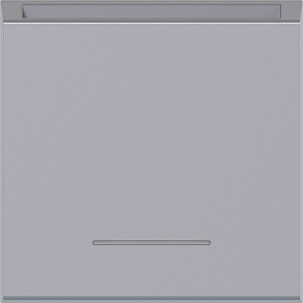 Hager WAF1020TA Zentralstück für Hotelcardtaster, klare Linse, A.x/C.x, titan matt