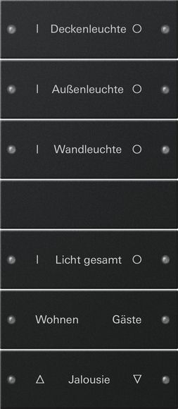 Gira 2206005 Wippenset 6-fach (3+3) beschreibbar, System 55, Schwarz matt (lackiert)