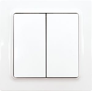 Eltako F4T55E-wg Funktaster 55x55mm batterie- und leitungslos mit Doppelwippe E-Design55