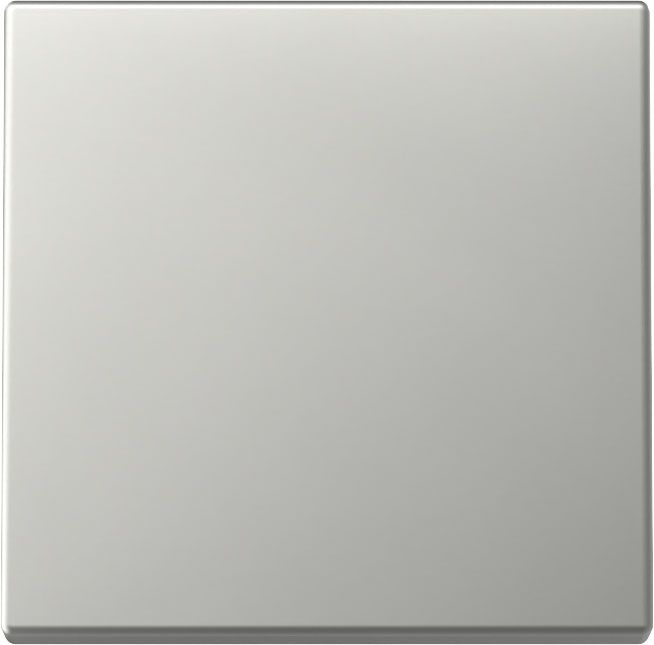 Gira 3296600 Wippe, System 55, Edelstahl
