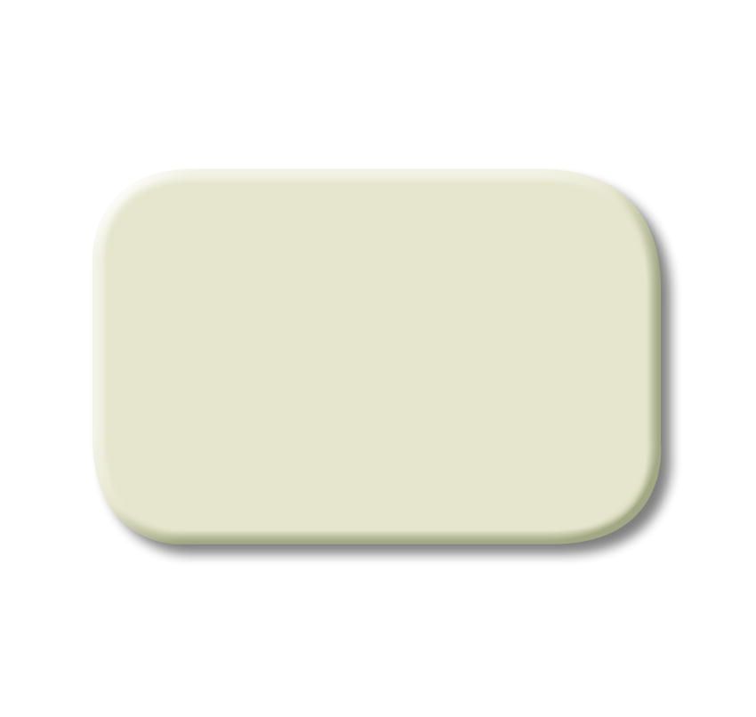 Busch-Jaeger 2525N Tastersymbol neutral