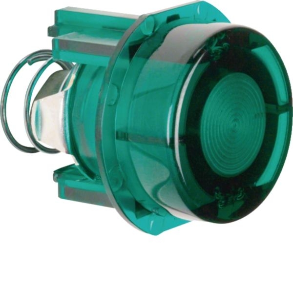 Hager WDA1527G Tasterknopf für Drucktaster und Lichtsignal E10, Zubehör, grün transparent