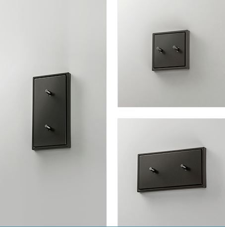 Jung AL12-5PDR01 Abdeckung mit Kipphebel "Zylinder", 2 Kipphebel, mit Pfeilsymbolen, Serie LS 1912, dark (lackiertes Aluminium)