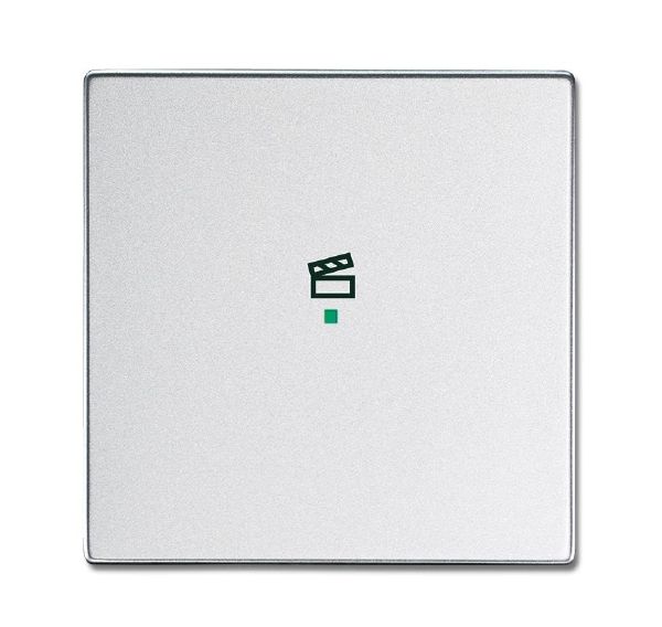 Busch-Jaeger 6233-10-83 Wippe 1-fach mit Symbol Szene