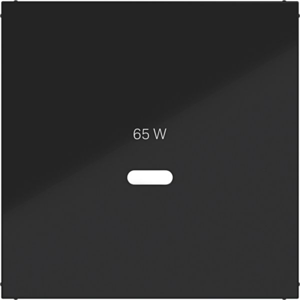 Hager WAF1511BG Zentralstück für Ladesteckdose USB-C Power Modul, A.x/C.x, nachtschwarz glänzend