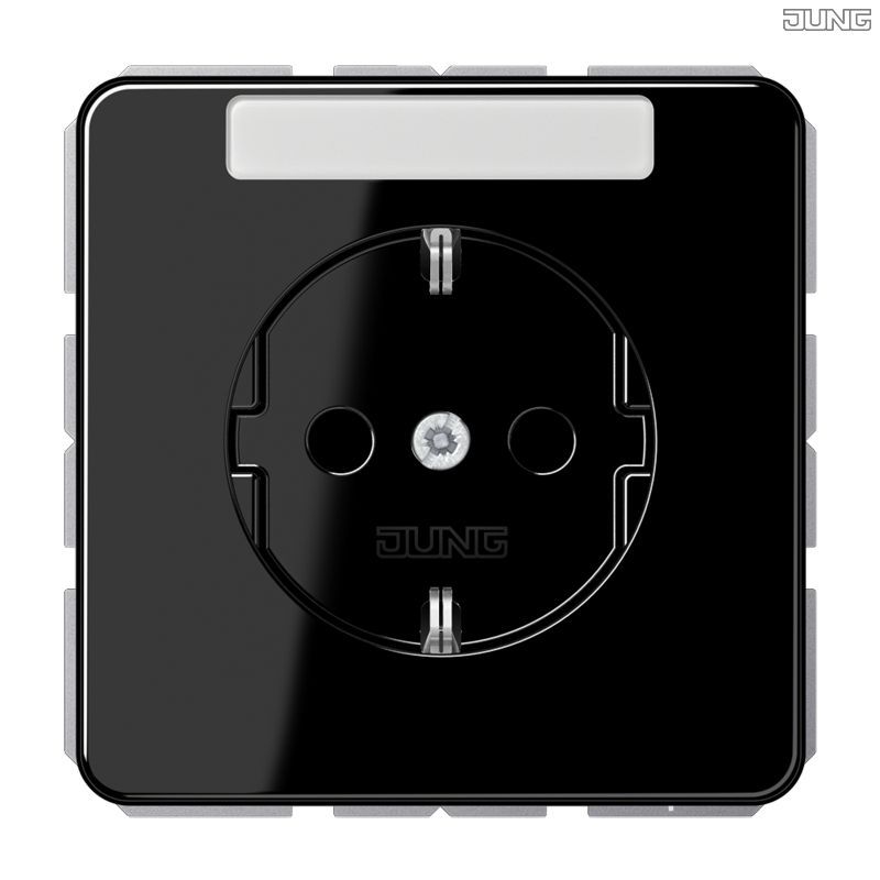 Jung CD1520NASW Schutzkontakt-Steckdose, 16 A 250 V ~, mit Schriftfeld, Duroplast, Serie CD, schwarz
