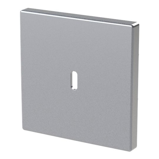 Busch-Jaeger 6479-83 Zentralscheibe für USB Ladestation 1-fach mit USB-C-Anschluss, Plattform 63, aluminium silber matt