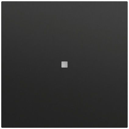 Gira 537174 Wippe 1-fach unbedruckt mit Kontrollfenster, System 70, schwarz matt (lackiert)