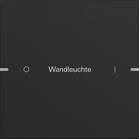 Gira 5031905 Wippenset 1-fach individuell für Tastsensor 4.95, Schwarz matt (lackiert)