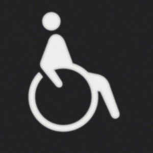 Berker 19058003 Folie für LED-Signallicht-Einsatz mit Symbol Rollstuhl