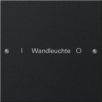 Gira 2201005 Wippenset 1-fach beschreibbar System 55 Schwarz matt lackiert