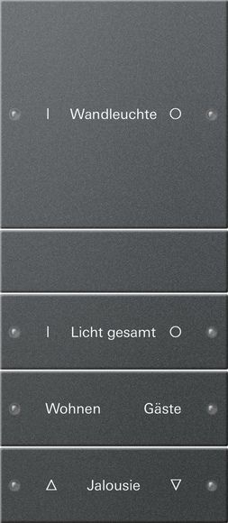 Gira 220428 Wippenset 4-fach (1+3) beschreibbar System 55 Anthrazit lackiert