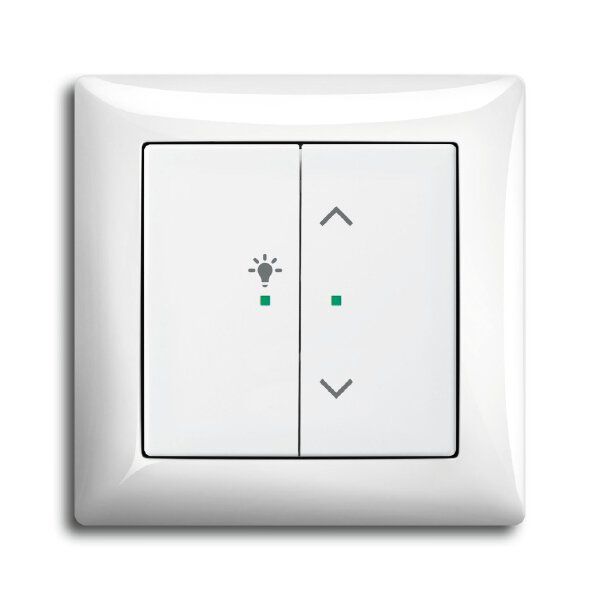 Busch-Jaeger 6231-21-914 Wippe 2-fach links mit Symbol Licht