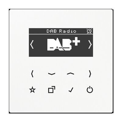 Jung DABLS1WW Smart Radio DAB+, Set Mono, Serie LS, alpinweiß