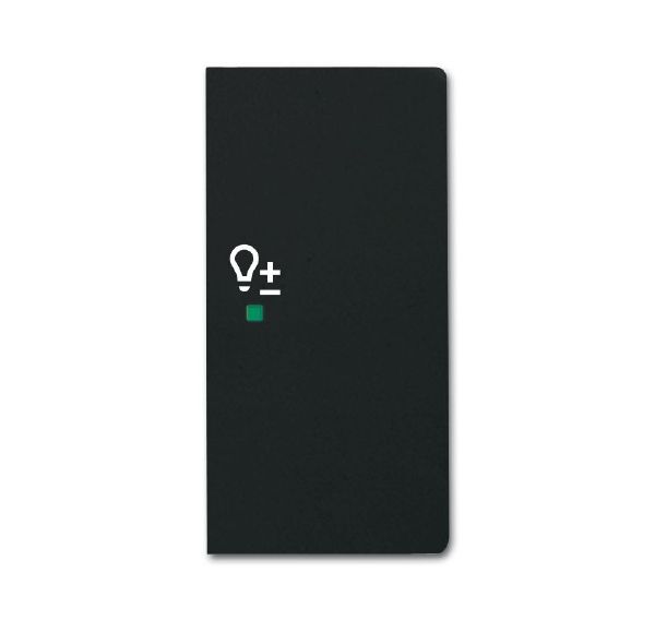 Busch-Jaeger 6234-22-885 Wippe 2-fach rechts mit Symbol Dimmer