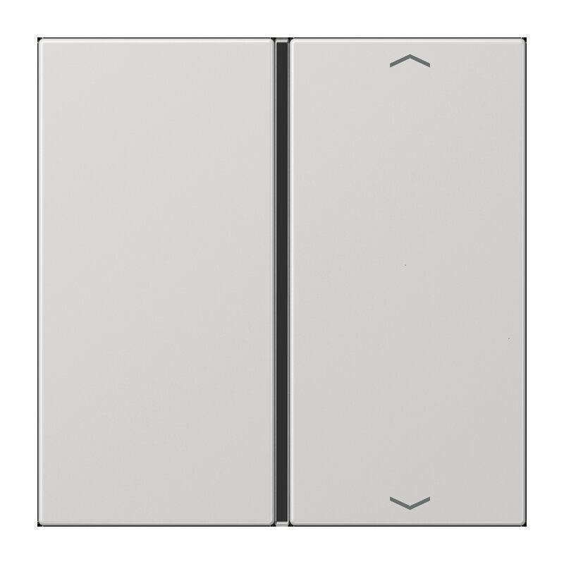 Jung LS401TSAPLG Taste 1-fach, mit Pfeilsymbolen, F40, Serie LS, lichtgrau