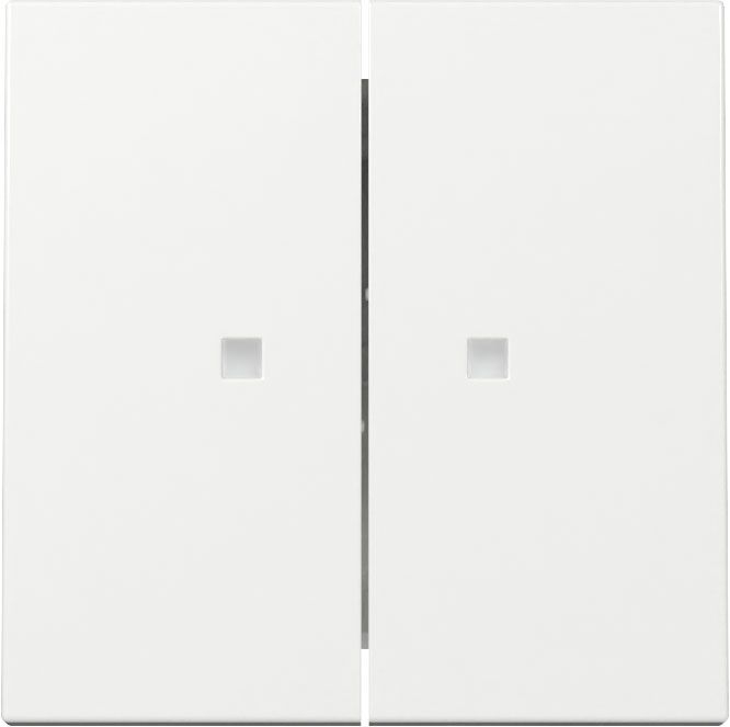 Gira 363103 Wippe 2-fach mit Kontrollfenster, System 55, reinweiß glänzend