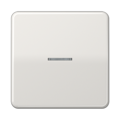 Jung CD590KO5LG Wippe mit Lichtleiter, Duroplast, Serie CD, lichtgrau