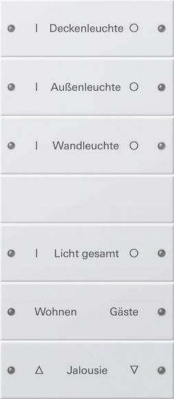 Gira 220603 Wippenset 6-fach (3+3) beschreibbar System 55 Reinweiß lackiert
