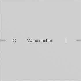 Gira 5031915 Wippenset 1-fach individuell für Tastsensor 4.95, Aluminium Grau matt (lackiert)
