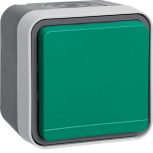 Berker 47403523 Schutzkontakt-Steckdose mit grünem Klappdeckel Aufputz W.1 grau/lichtgrau