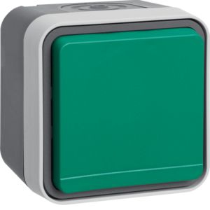 Berker 47403523 Schutzkontakt-Steckdose mit grünem Klappdeckel, Aufputz W.1, grau