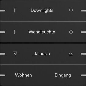 Gira 5034905 Wippenset 4-fach individuell für Tastsensor 4.95, Schwarz matt (lackiert)