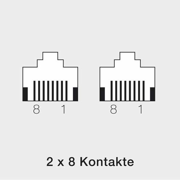 Rutenbeck 13011216 UAE-Anschlussdose, 2-fach, Unterputz, mit LSA-Anschlusskontakten, 2 x 8-polig, 2 x 8 LSA-Kontakte, mit Kunststofftragstegen, mit Spreizkrallen, reinweiß