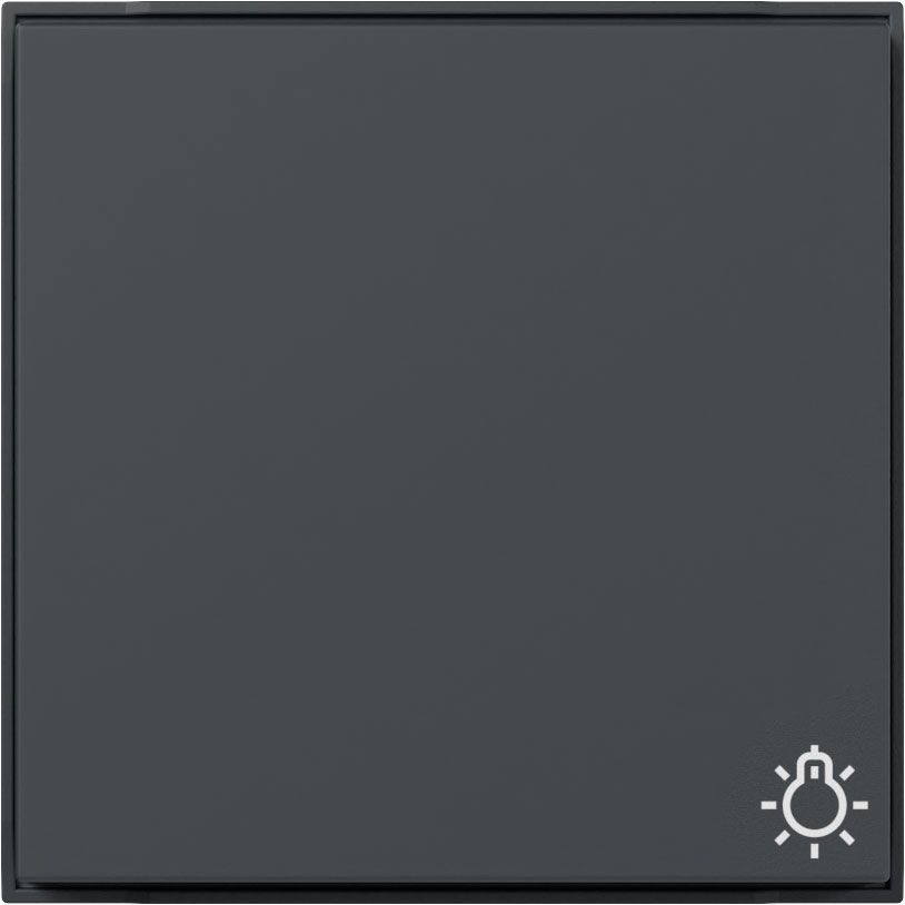 Gira 328567 Wippe Symbol "Licht", Gira TX_44, (WG UP), anthrazit