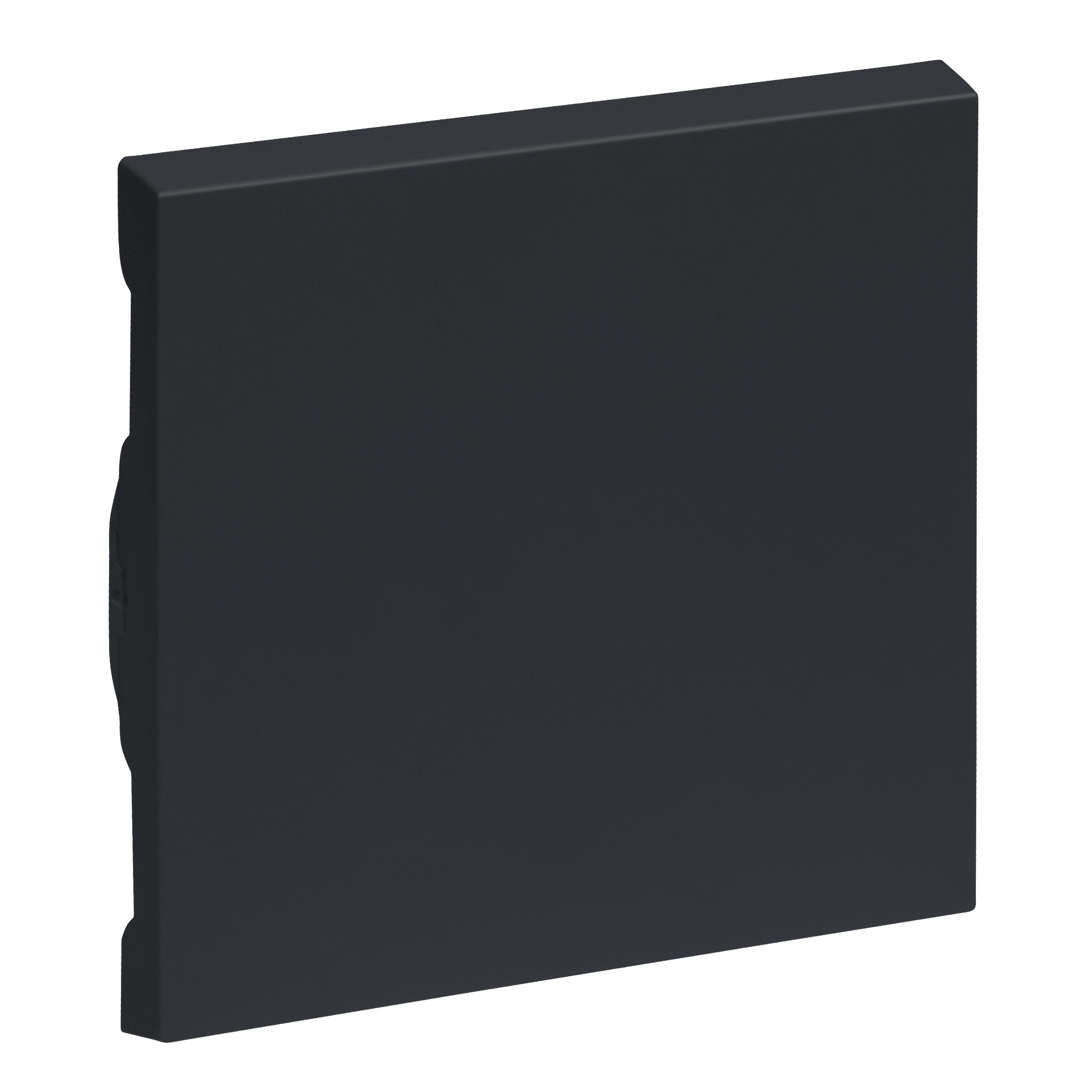 Legrand 765406 SEANO Wippe für Wechselschalter, Taster und Kreuzschalter, anthrazit lackiert