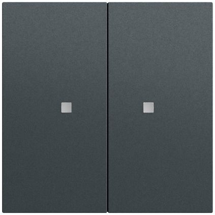 Gira 517373 Taster mit Wippe 2-fach für Gira One und KNX, System 70, anthrazit (lackiert)