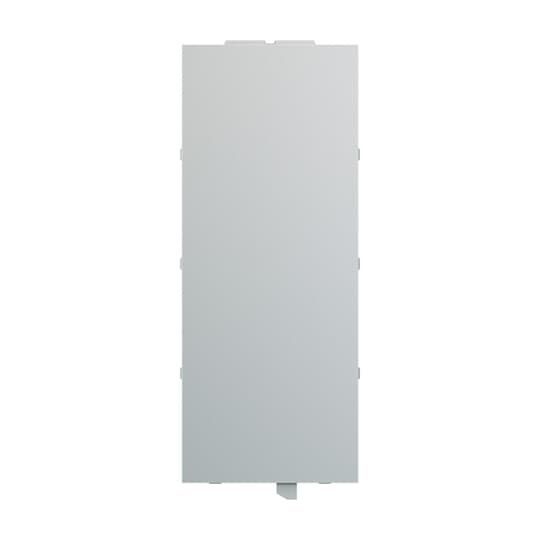 Busch-Jaeger SLM/A.0.11-83 Abdeckung für Schriftfeld für 8-fach Bedienelement, aluminium silber matt, Busch-Tenton