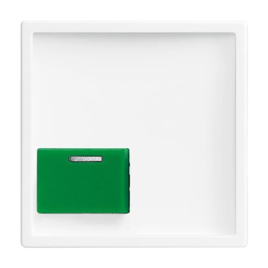 Busch-Jaeger 2548-642 C-84 Zentralscheibe 1-fach für Abstelltaster mit LED-Erinnerungslampe, Taste grün, studioweiß glänzend, Plattform 63