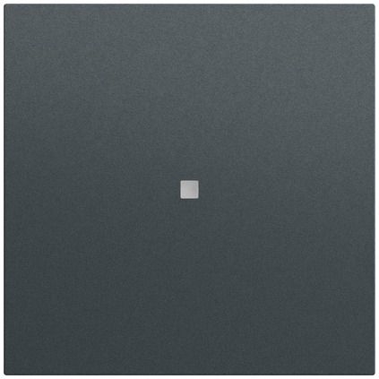 Gira 537173 Wippe 1-fach unbedruckt mit Kontrollfenster, System 70, anthrazit (lackiert)