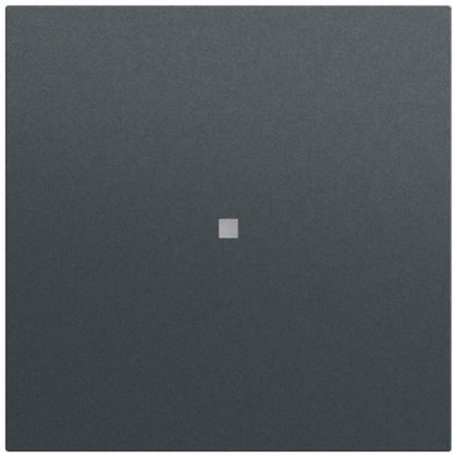 Gira 329073 Wippe mit Kontrollfenster, System 70, anthrazit (lackiert)