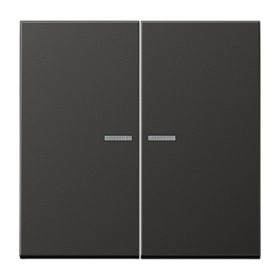 Jung AL10921STRFAN KNX RF Taster 2-fach, Aluminium lackiert, Serie LS, anthrazit