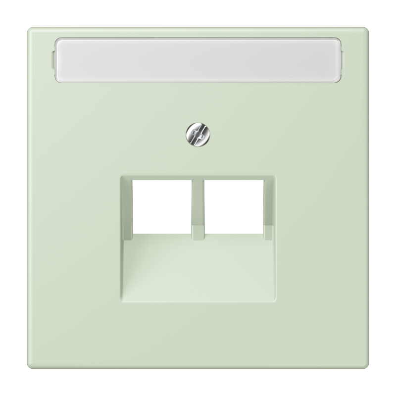 Jung LC9692NAUA218 Abdeckung für IAE/UAE-Anschlussdosen, 2 x 8-polig, mit Schriftfeld, Les Couleurs® 32042, vert anglais pâle