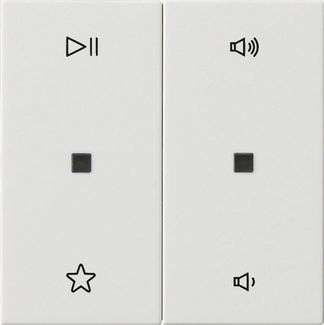 Gira 538403 Wippe 2-fach Audiosteuerung, System 55, reinweiß