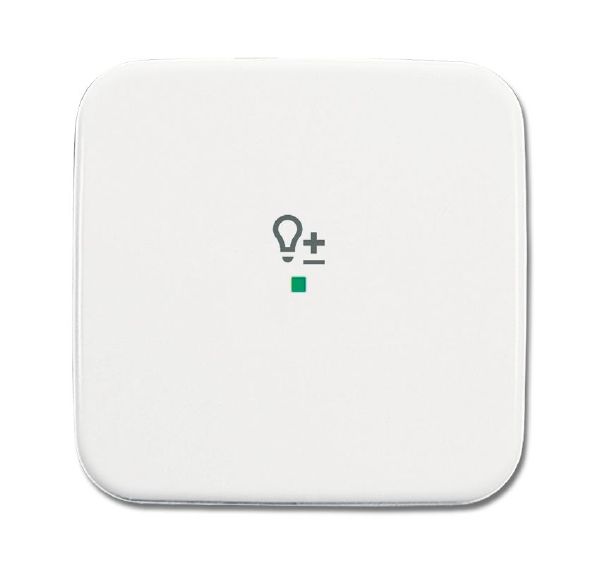 Busch-Jaeger 6234-10-214 Wippe 1-fach mit Symbol Dimmer