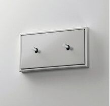 Jung AL12-200K0 Abdeckung mit Kipphebel "Kegel", 2 x 1 Kipphebel, waagerecht, Serie LS 1912, Aluminium