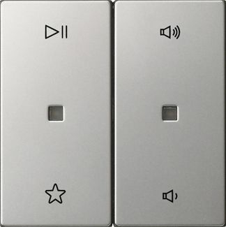 Gira 5384600 Wippe 2-fach Audiosteuerung, System 55, Edelstahl