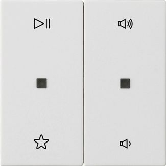 Gira 538427 Wippe 2-fach Audiosteuerung, System 55, reinweiß matt