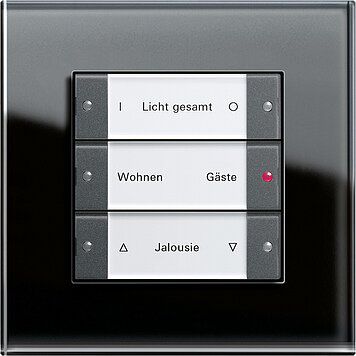 Gira 213328 Wippenset 3-fach mit Beschriftungsfeld, System 55, Klar/anthrazit