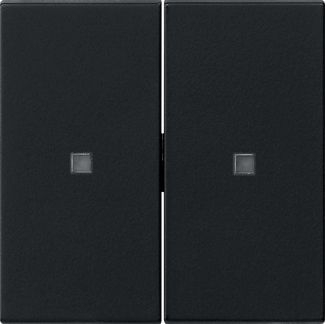 Gira 5369005 Wippe 2-fach unbedruckt Kontrollfenster, System 55, schwarz matt