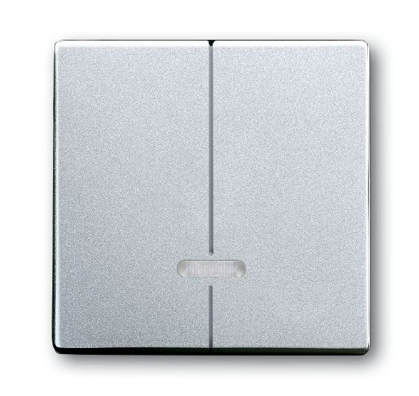 Busch-Jaeger 6545-83 Bedienelement 2-fach für Dimmer/Doppeltaster mit Glimmlampe, aluminium silber matt, Plattform 63