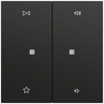 Gira 538474 Wippe 2-fach Audiosteuerung, System 70, schwarz matt (lackiert)