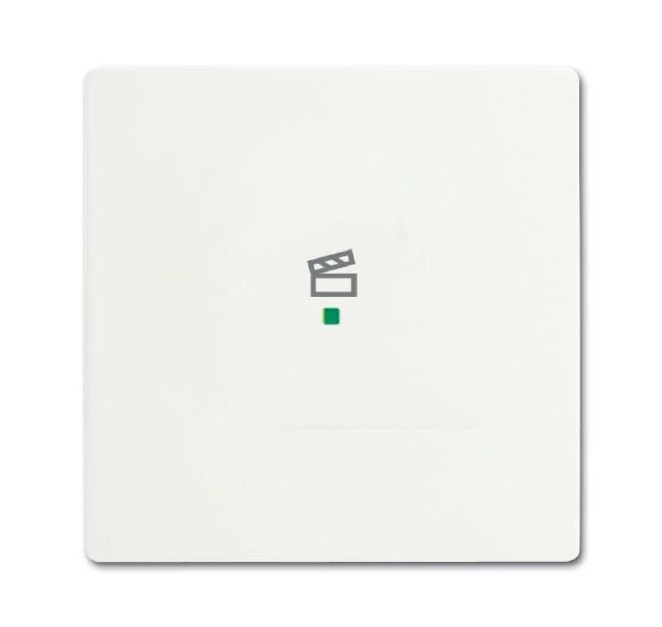 Busch-Jaeger 6233-10-884 Wippe 1-fach mit Symbol Szene