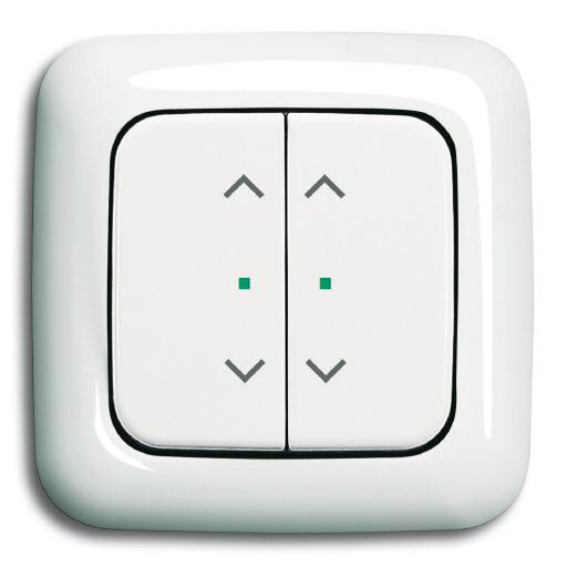 Busch-Jaeger 6232-20-214 Wippe 2-fach links/rechts Symbol Jalousie